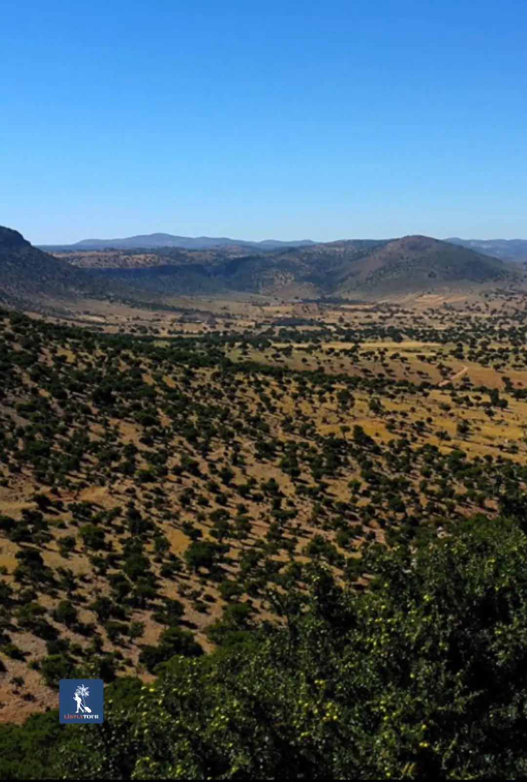 Wide landscape of rolling hills near Essaouira during the Ida Ougourd market tour from Essaouira