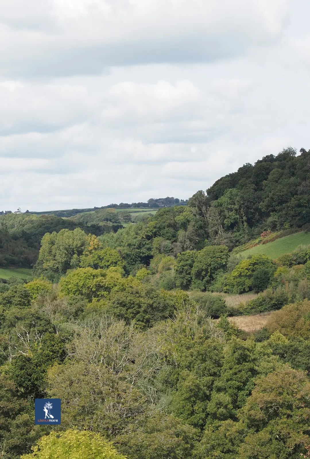 Panoramic view of a wooded valley and rolling hills on the Half-Day Trip Ain El Hajar Countryside