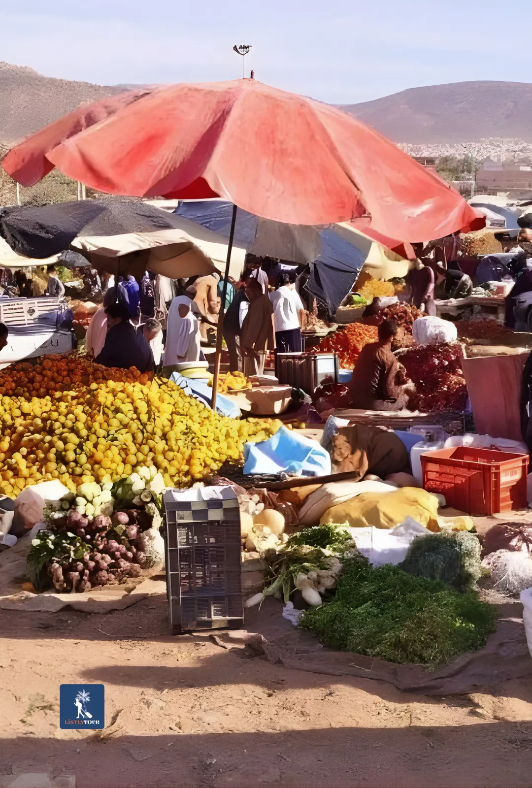 Had Draa market tour from Essaouira