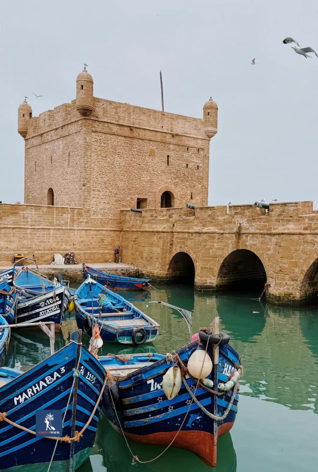 Essaouira Day Trip from Marrakech, blue boats by the fort