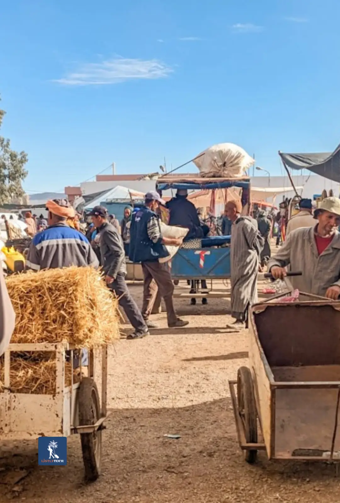 Had Draa market tour from Essaouira