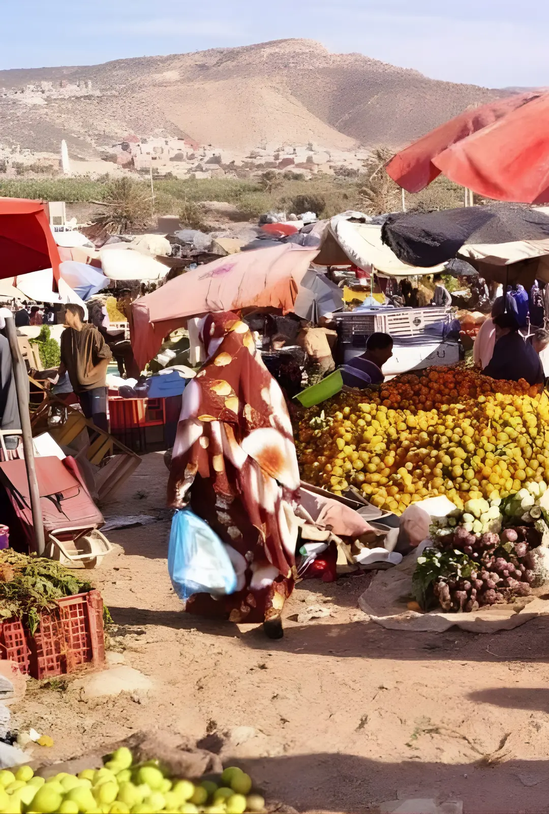Had Draa market tour from Essaouira