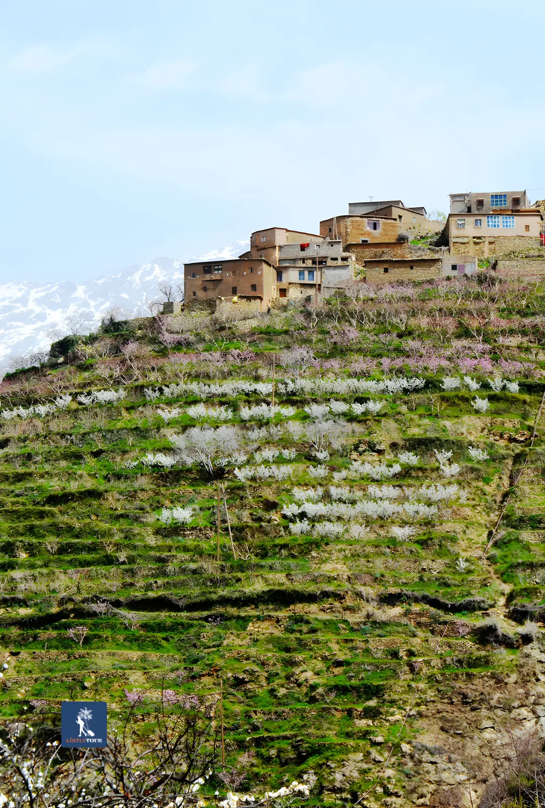 Ourika Valley Day Trip