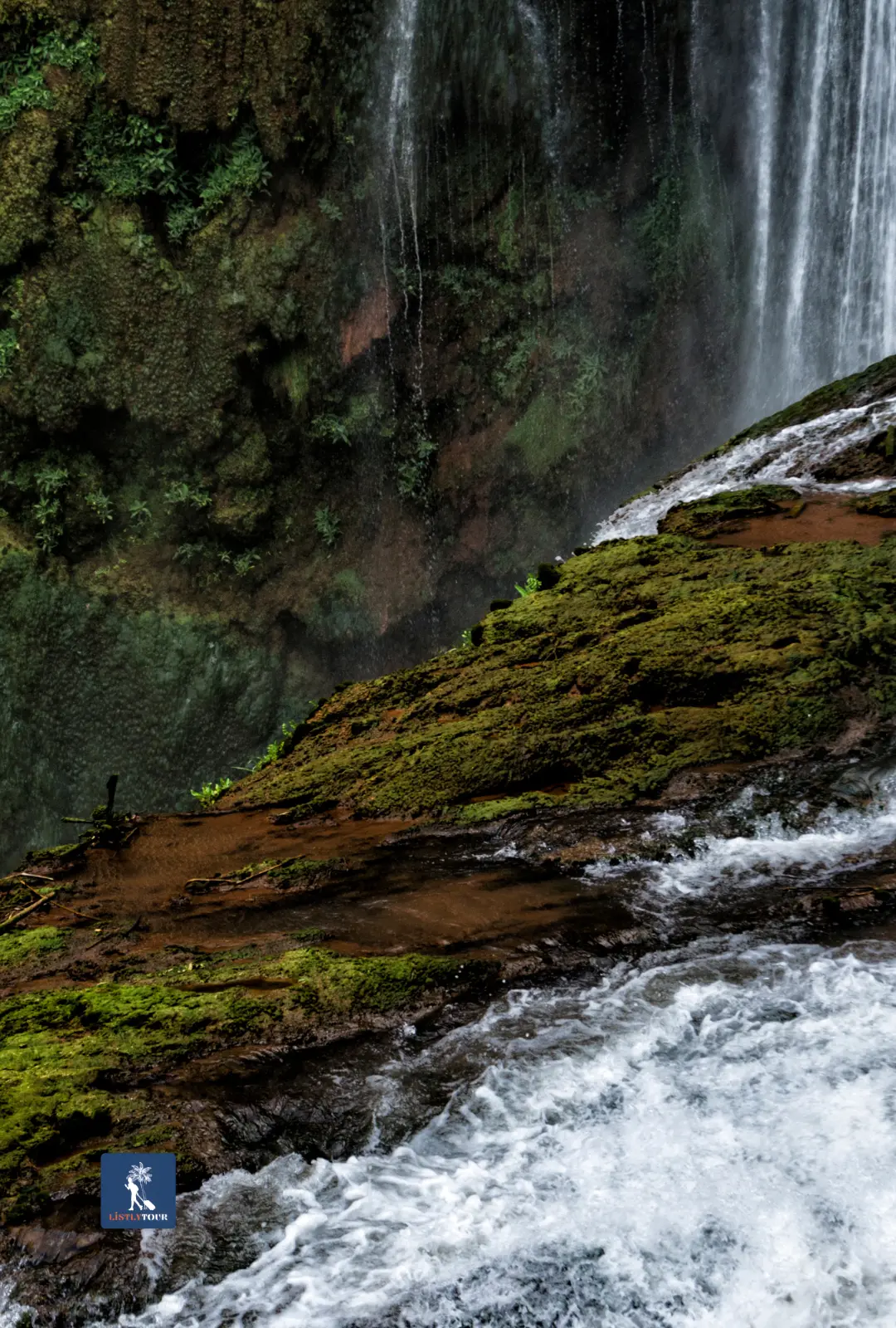 ouzoud waterfall day trip